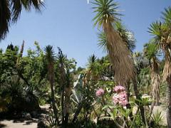 183 D21 SANARY SUR MER 1_000023